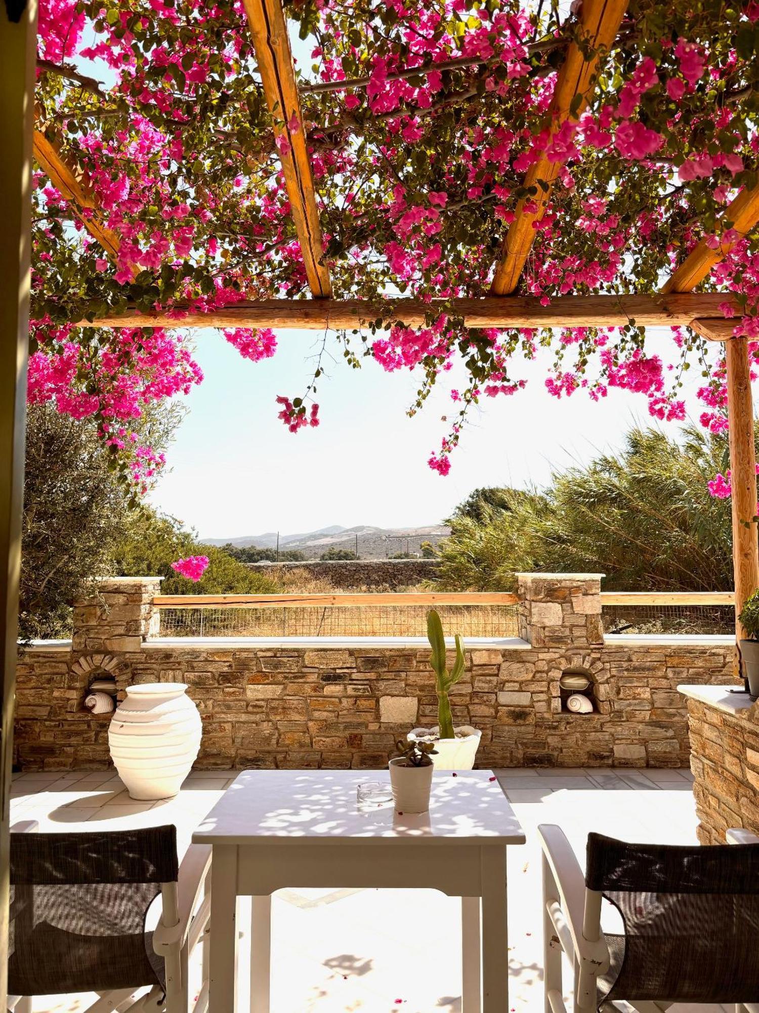 Aegeo Inn Antiparos Town المظهر الخارجي الصورة